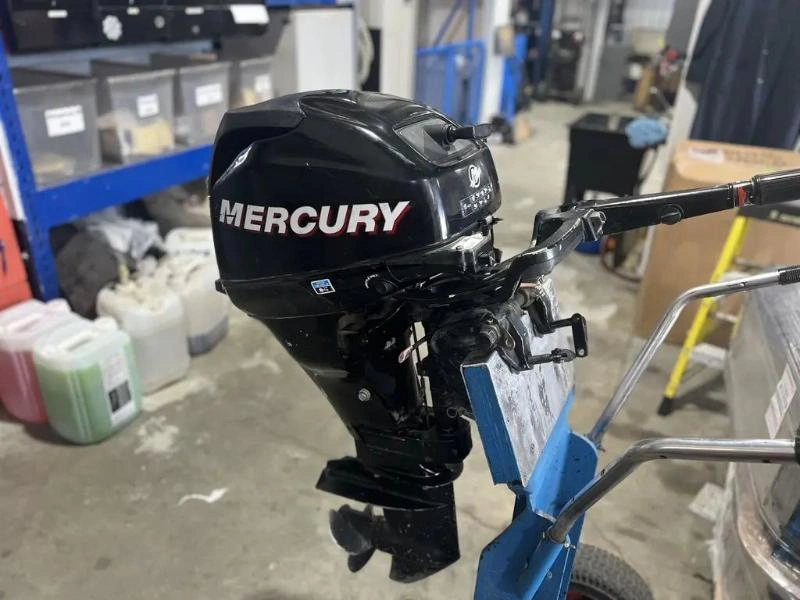 Mercury F20m 2008 alt