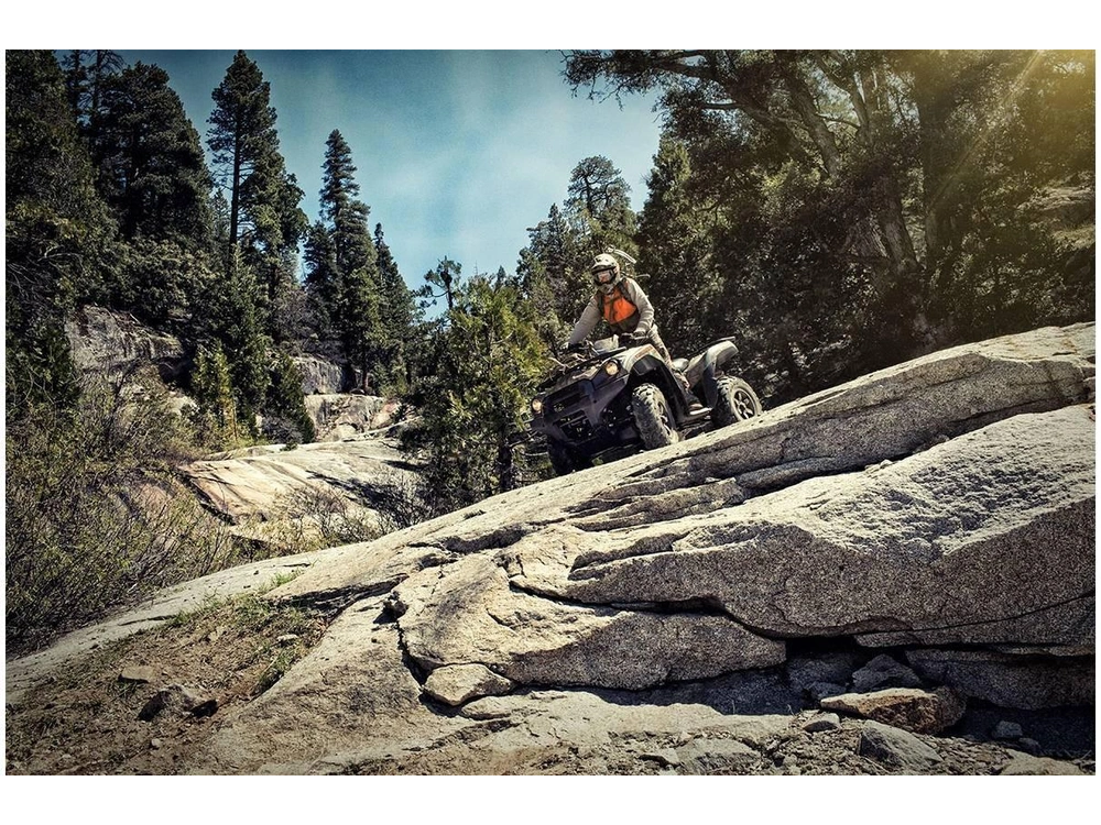 2023 Kawasaki Brute Force 750 4x4i alt