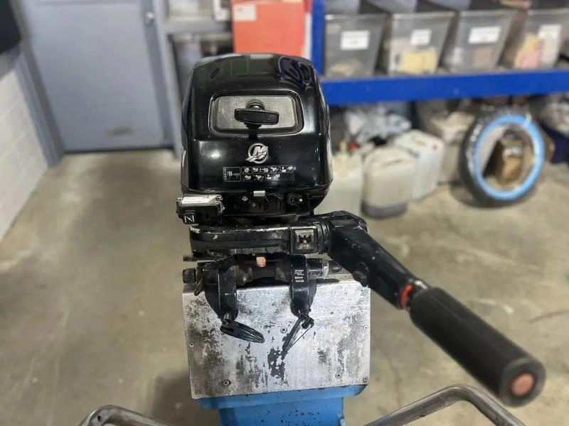 Mercury F20m 2008 alt