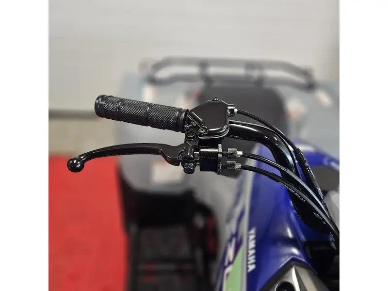 2026 Yamaha GRIZZLY 110