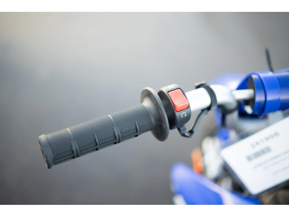 2026 Yamaha Ttr110e alt