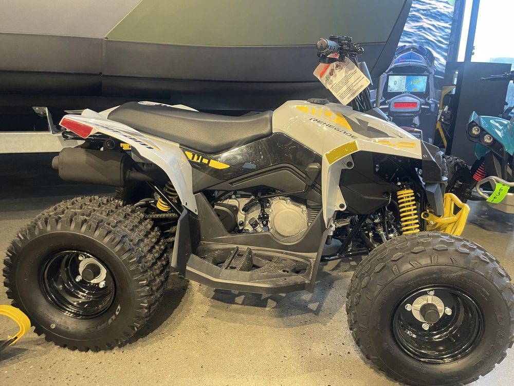 2026 Can-am Renegade 110 Efi alt