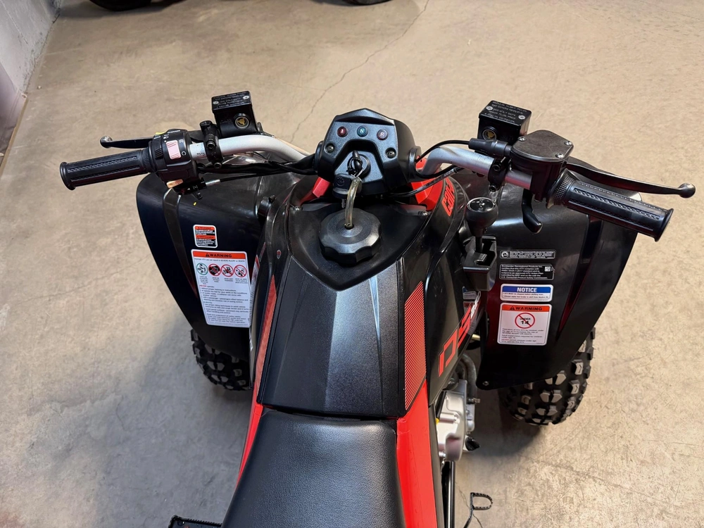 Can-am Can-am Ds 250 Ds250 2024 alt