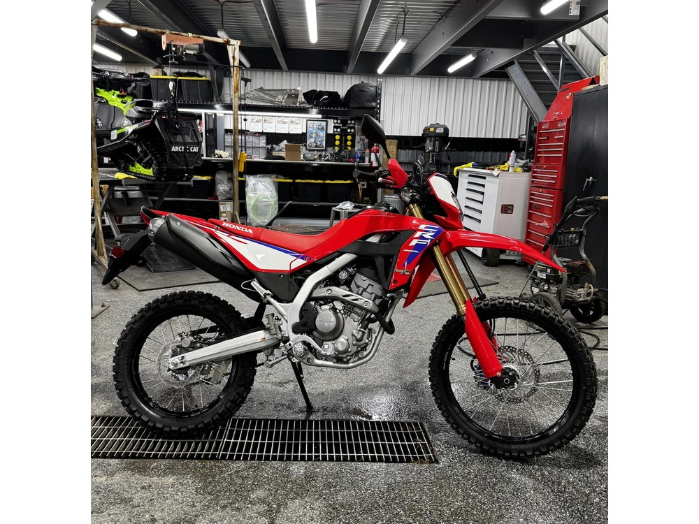 2025 Honda Crf300l alt