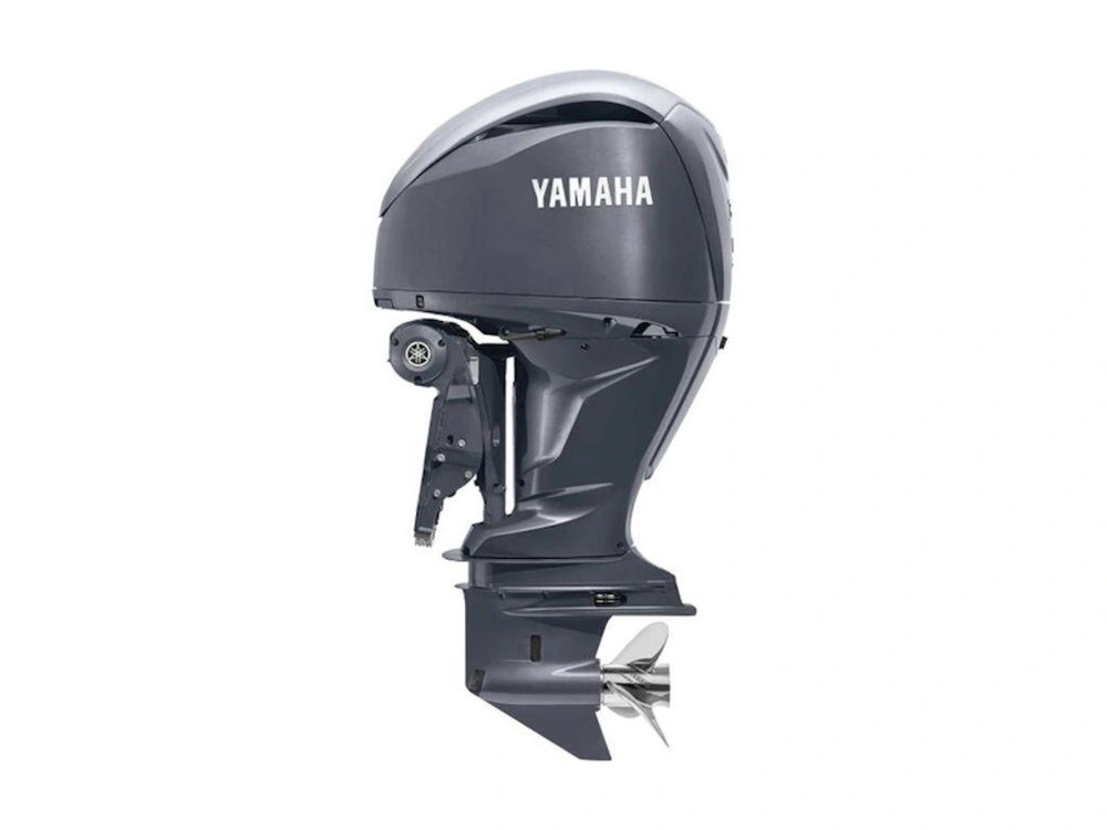 2024 Yamaha F300 alt