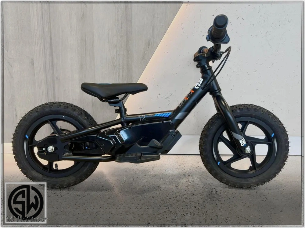 2025 Stacyc 12edrive alt