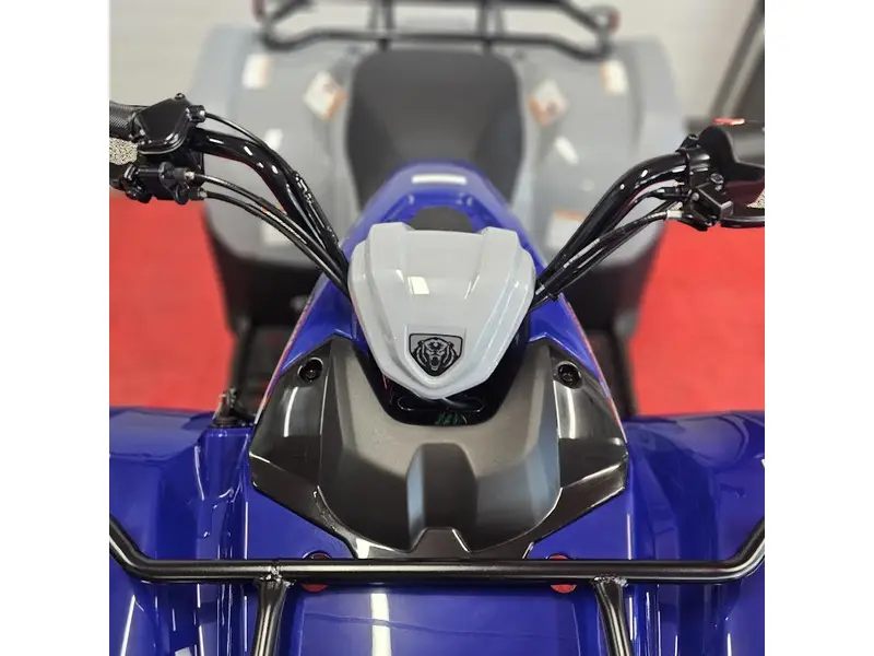 2026 Yamaha GRIZZLY 110