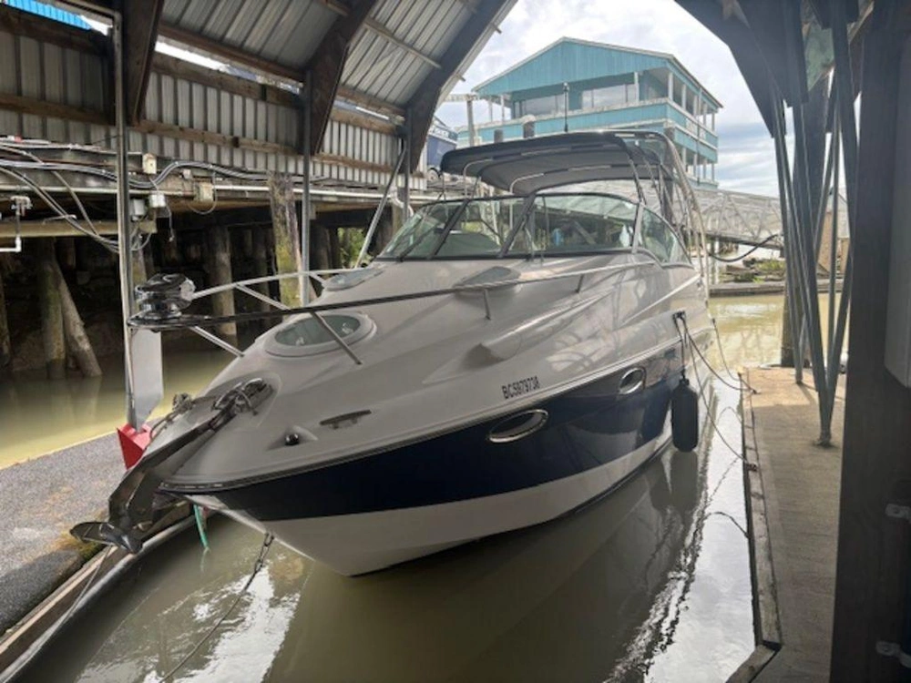 2016 Campion 825i alt