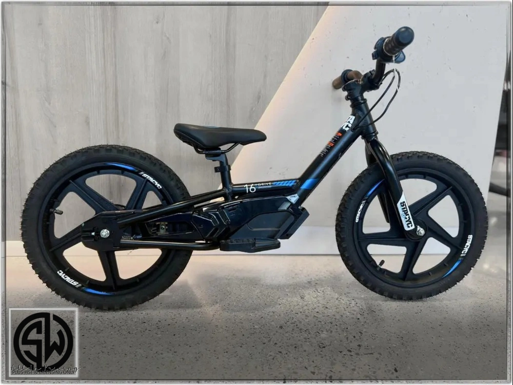 2022 Stacyc 16edrive alt