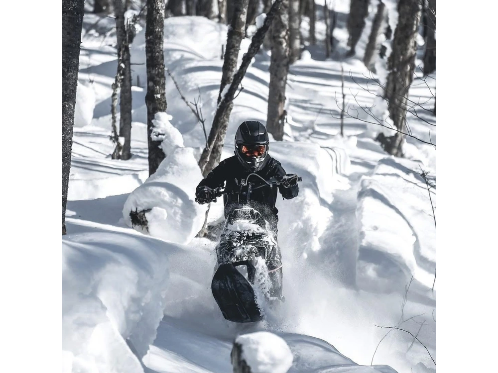 2023 Widescape Ws250 alt