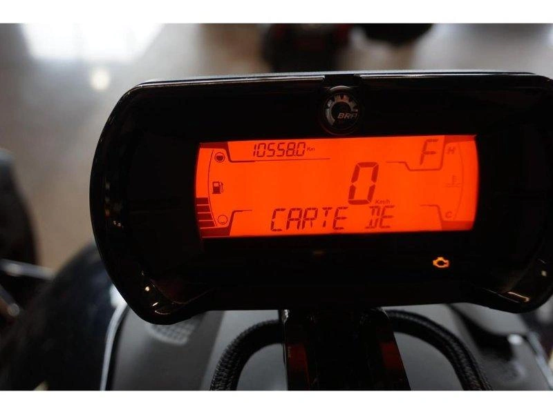 Can-am Ryker Rally 900ace 2021 2021 alt