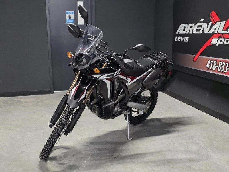 Honda Crf250rl Rally 2019 alt