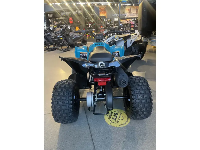 2026 Can-Am RENEGADE 70 EFI