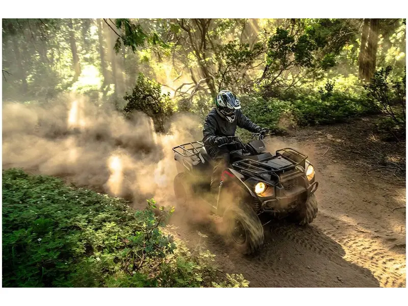 Kawasaki BRUTE FORCE 300 2023