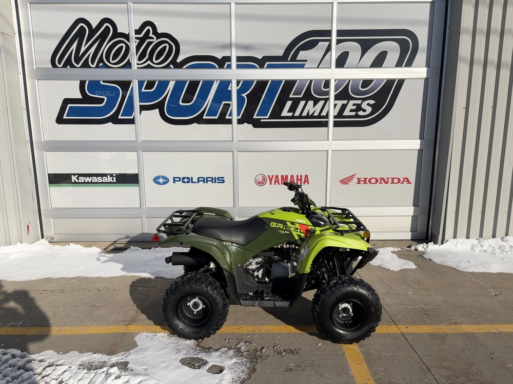 Yamaha Grizzly 110 2026 alt
