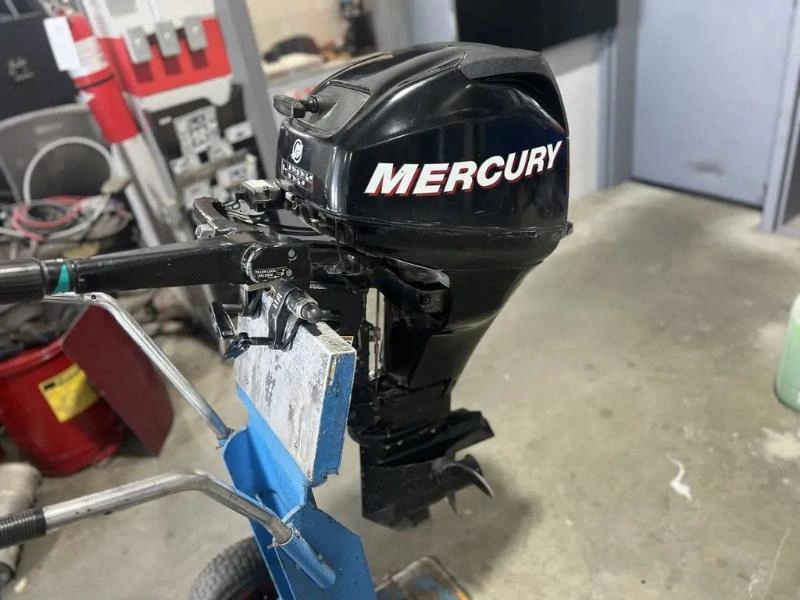 Mercury F20m 2008 alt