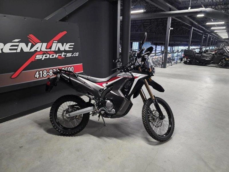 Honda Crf250rl Rally 2019 alt