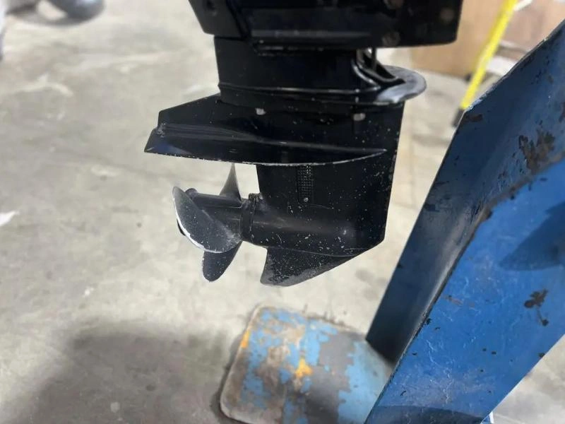 Mercury F20m 2008 alt