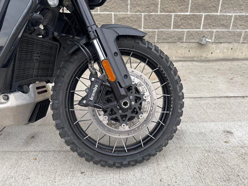 2021 Harley-davidson Ra1250 - Pan America™ 1250 alt