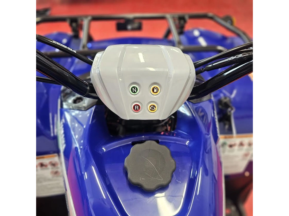 2026 Yamaha Grizzly 110 alt