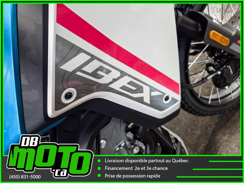 2026 Cfmoto Ibex 450 alt