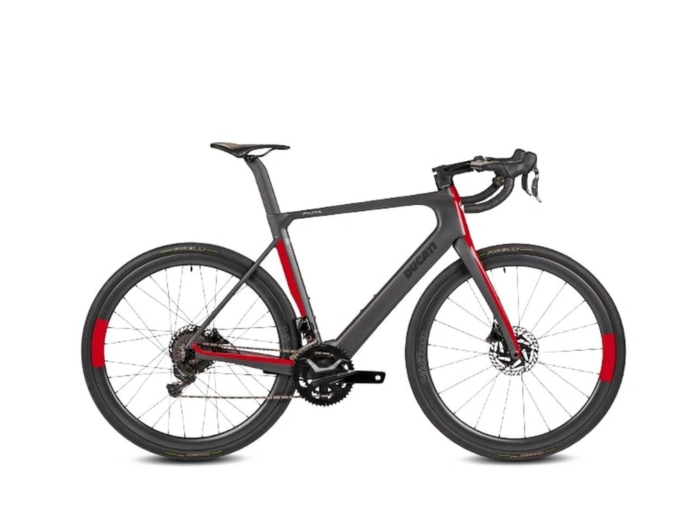 Ducati Futa Large 2023 alt