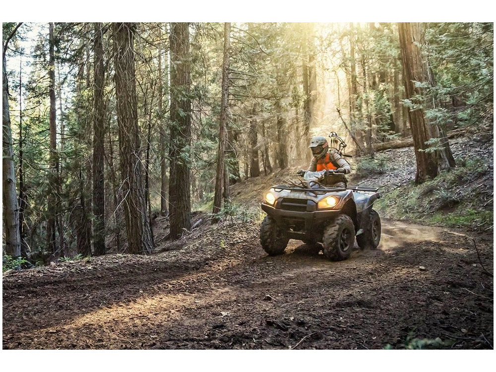 2023 Kawasaki Brute Force 750 4x4i alt