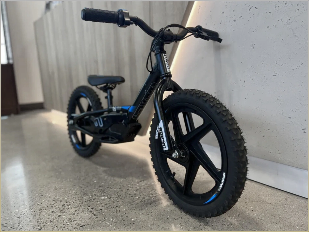 2022 Stacyc 16edrive alt