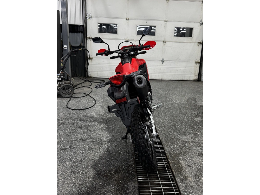 2025 Honda Crf300l alt