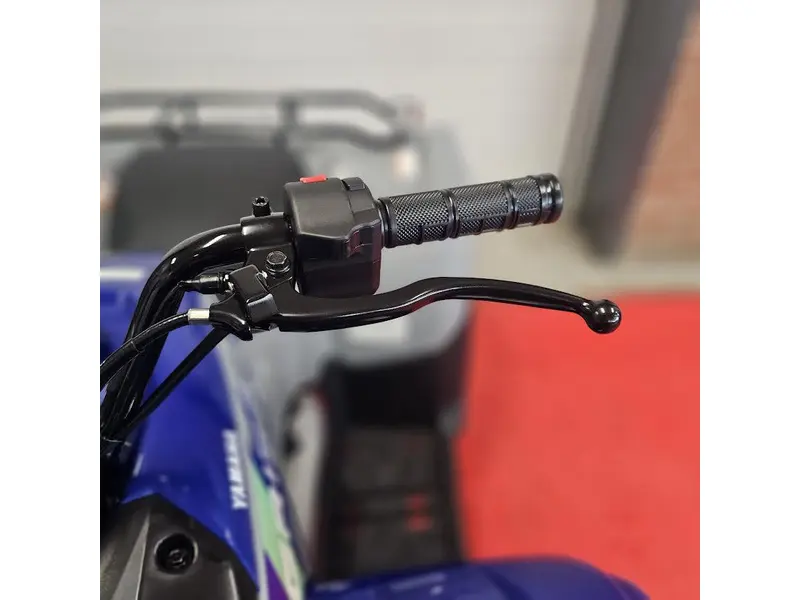 2026 Yamaha GRIZZLY 110