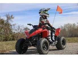 Cfmoto Cforce 110 Classic 2026 alt