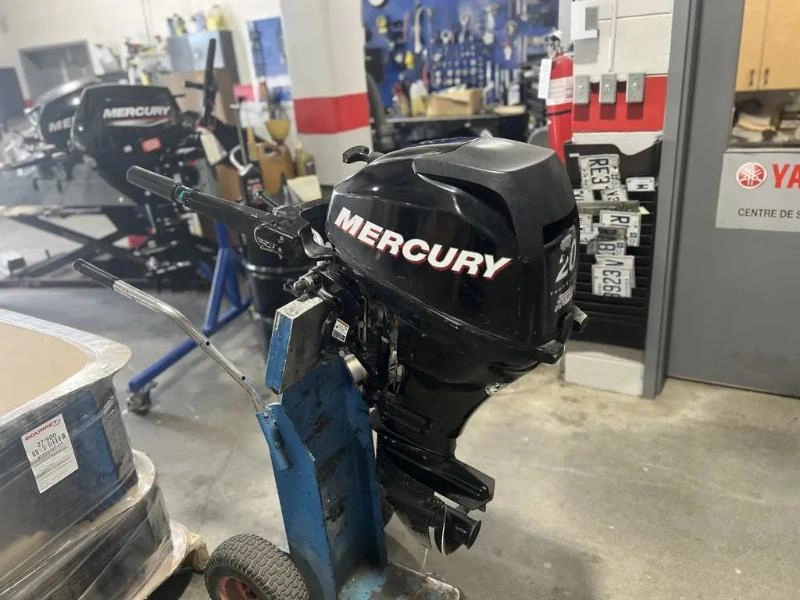 Mercury F20m 2008 alt