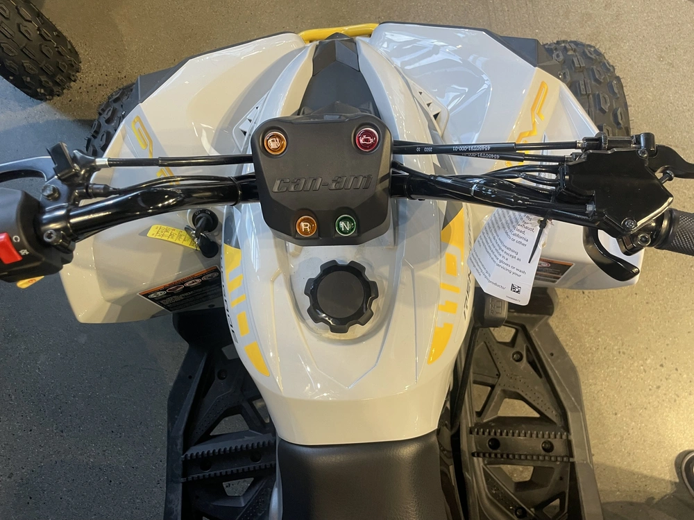 2026 Can-am Renegade 110 Efi alt