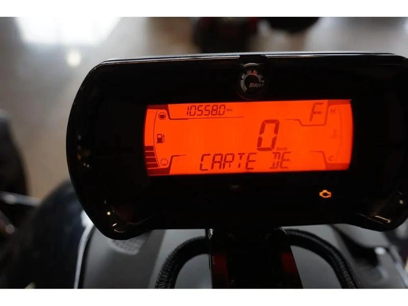 Can-am Ryker Rally 900ace 2021 2021 alt