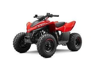 Cfmoto Cforce 110 Classic 2026 alt