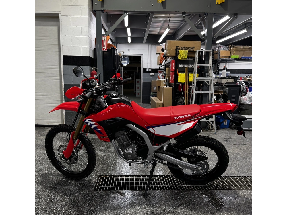 2025 Honda Crf300l alt