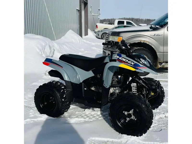 Polaris PHOENIX 200 A26YPA20A4 2026