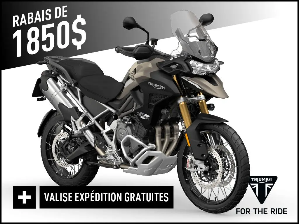 Triumph TIGER 1200 RALLY PRO 2025