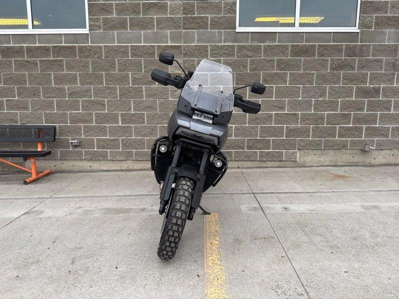 2021 Harley-davidson Ra1250 - Pan America™ 1250 alt