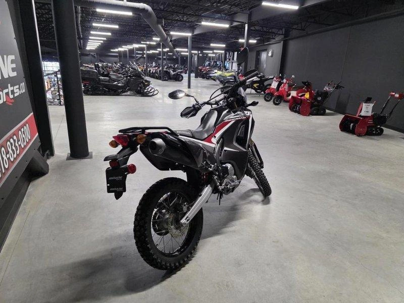 Honda Crf250rl 2019 alt