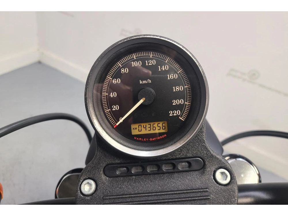 Harley-davidson Sportster Iron 883 2013 alt