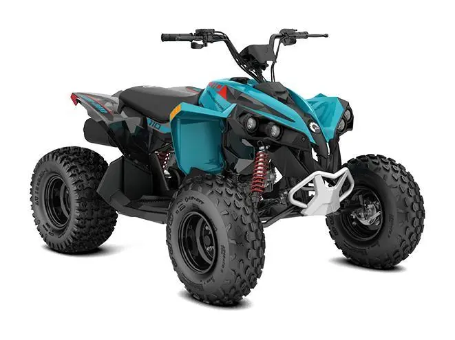 Can-Am Renegade 110 EFI 2026