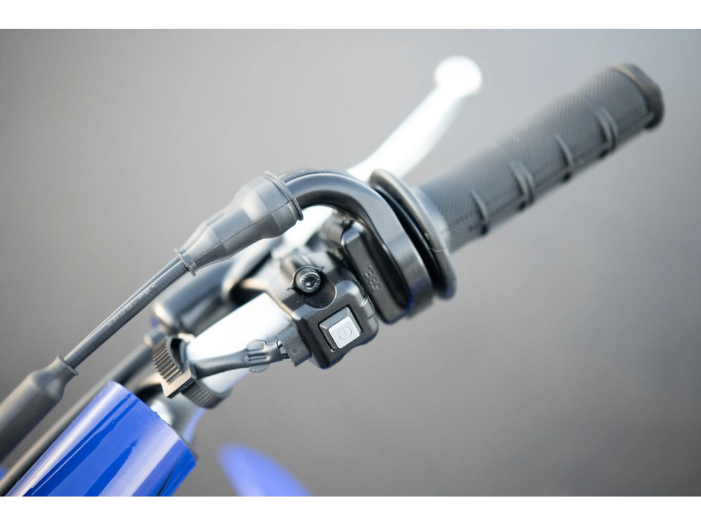 2026 Yamaha Ttr110e alt