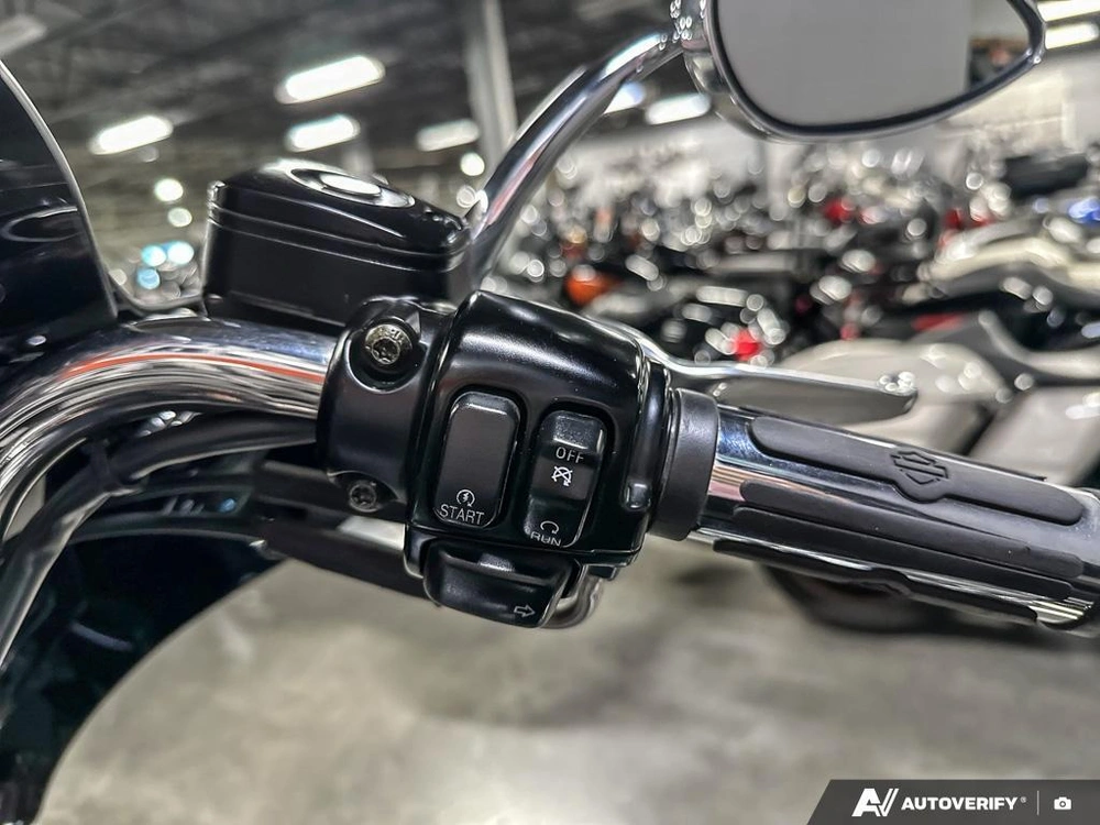 2003 Harley-davidson Softail Standard alt