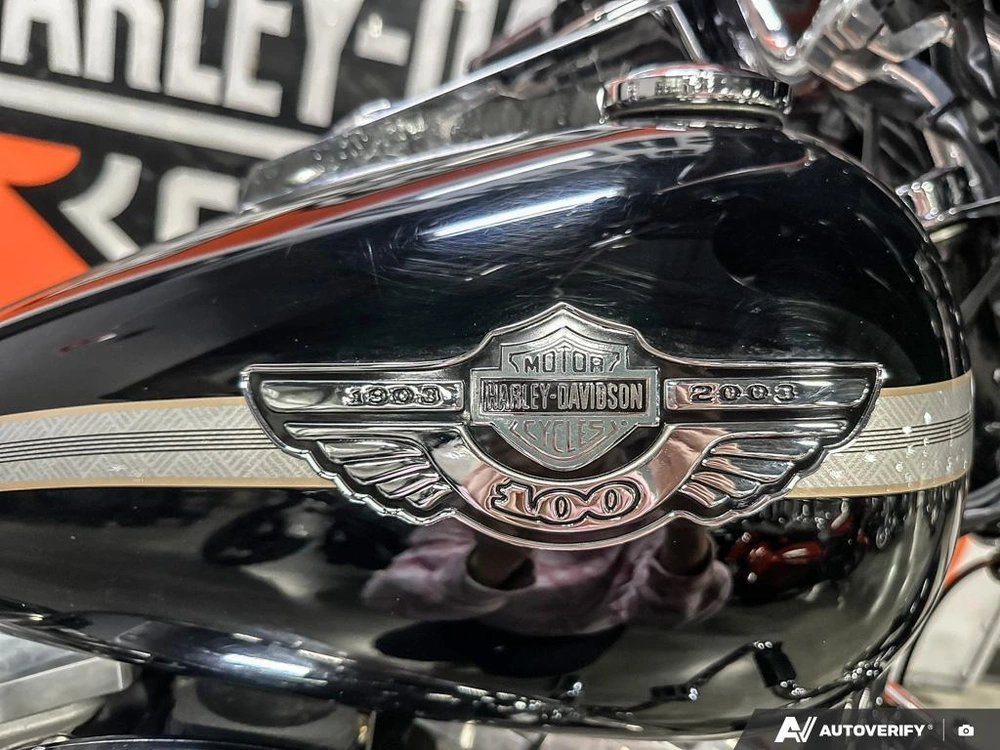 2003 Harley-davidson Softail Standard alt