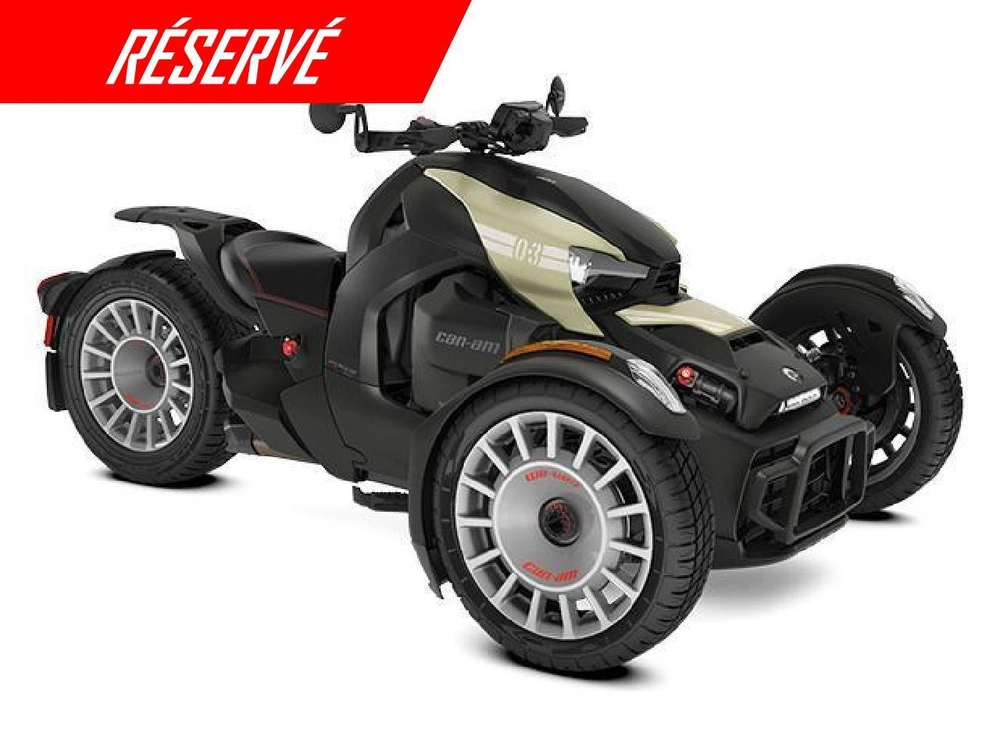 Can-am Ryker Rallye 900 Ace 2024 alt