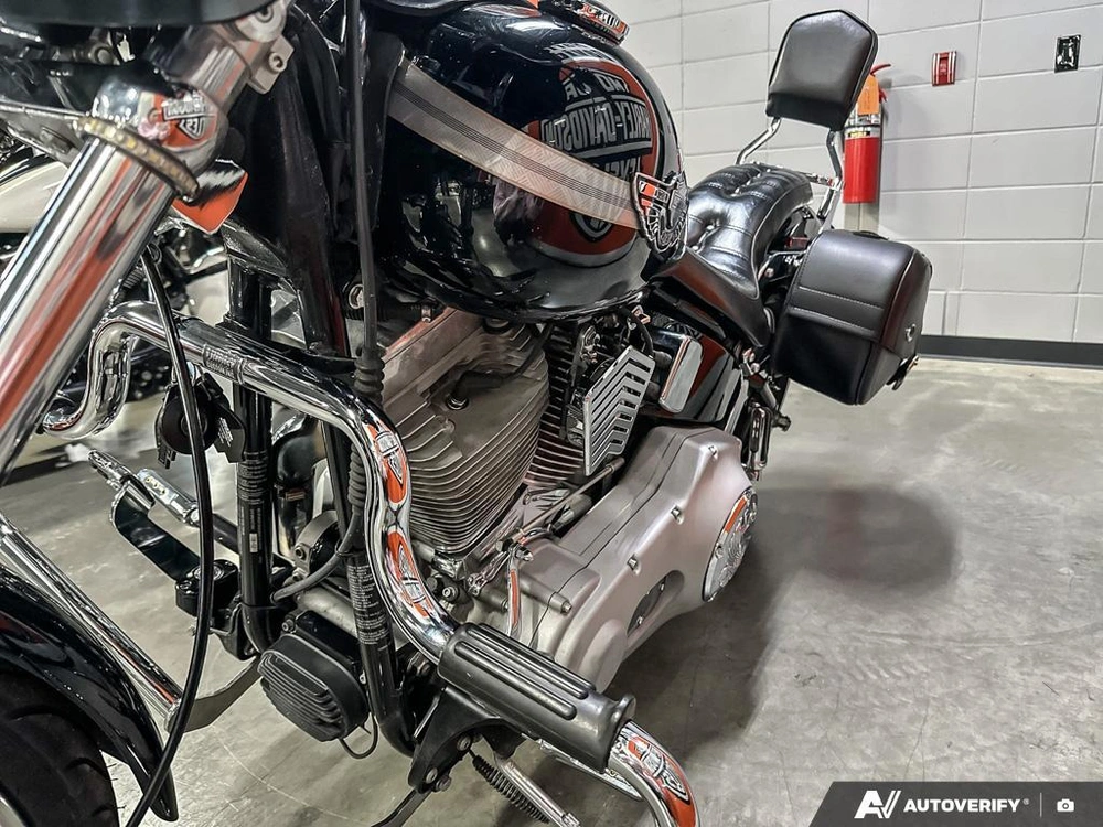 2003 Harley-davidson Softail Standard alt