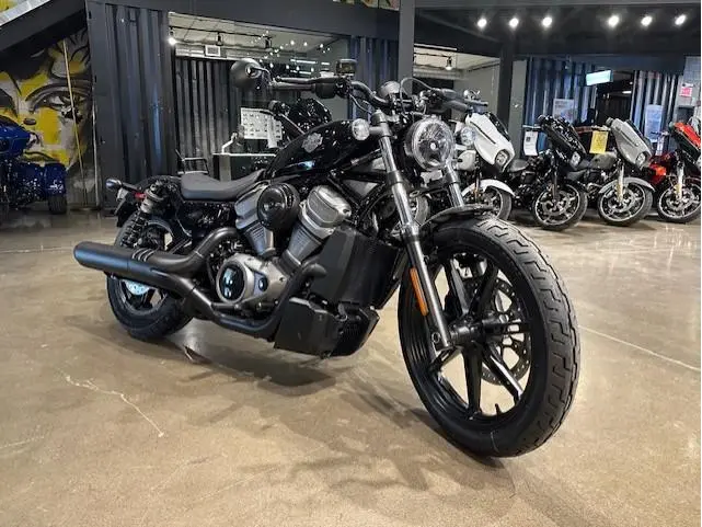 2024 Harley-Davidson NightsterRH975