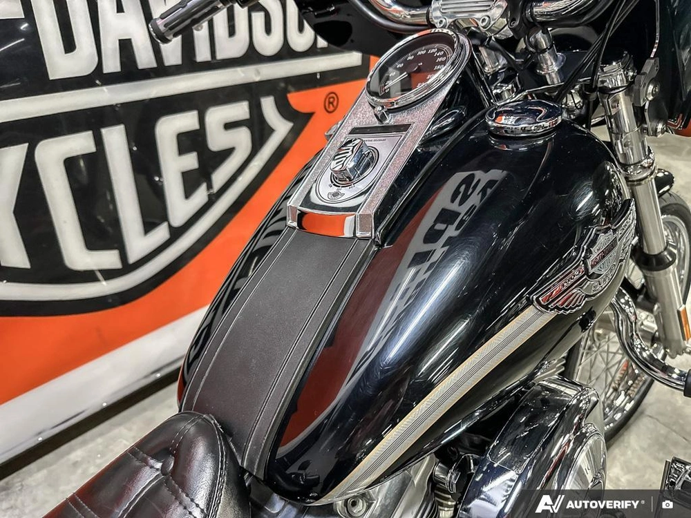 2003 Harley-davidson Softail Standard alt