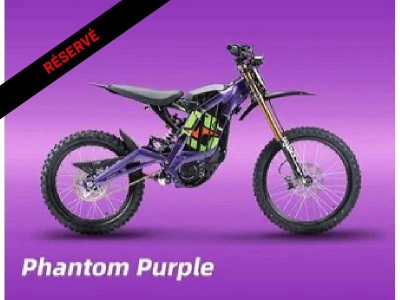 2025 Surron Light Bee X alt